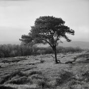Folk Show: Episode 69