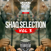 @SHAQFIVEDJ - Shaq Selection Vol.3