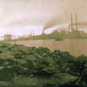 Mad Collectors Special (O.J.A.I./No Tourists June 2022)