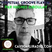 Perpetual Groove Flavor S3 EP21 par Hughes Giboulay