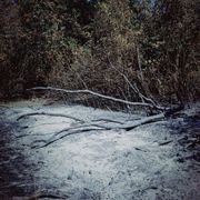 Donetsk Oblast in the afternoon, Part 3 — Донецька область вдень. Частина 3