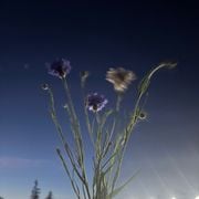 Poser Hour (04.02.2026)