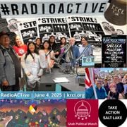 Energize, Organize with Utahns Doing Just That