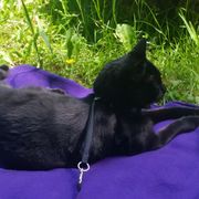 M3M0RYL34K 00000076 2024.08.04