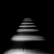 graceful silence