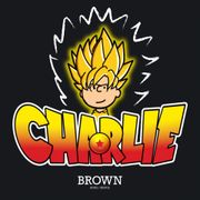 DJ Charlie Soul Funk Mix