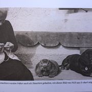 bei den Augustkindern 29.07.17