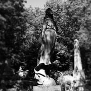 Núvol de fum 427 | ales desplegades