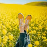 Global Songs of Spring (#1321)