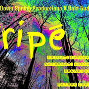 Dj Dann D.  - Tripe