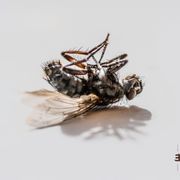 Currents 80 - Finders Keepers