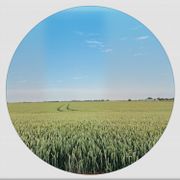 Whitelabrecs Vinyl Mix