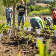 Engage In Learning From The Land At Bloom Ranch Workshops And Events - Audio Blog