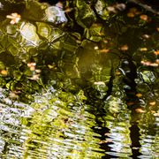 Inphiknight @ Ecstatic Dance Rotterdam: 15 Okt 2022