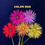 Color Box