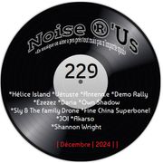 Noise r'us # 229 (Décembre 2024)