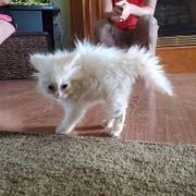 soft serve with gabriela bernadette 101021