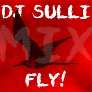 DJ SULLI - FLY! - DJ MIX