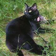 M3M0RYL34K 00000081 2024.09.15