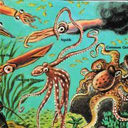 100 Goat Warehouse July 2025