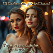 Dj OptimuS - True Immaculate Chill #62 [21.01.2026]