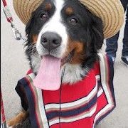 Mix fiestas patrias_EMEMIX2014