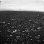 Neon Jazz - Episode 801 - 4.19.23