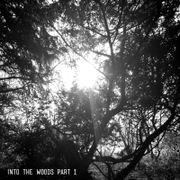 Into The Woods Part 1