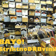 StriktnoDNBvinil