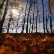 autumn in slow motion