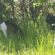 M3M0RYL34K 00000070 2024.06.23