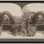 sewersounds_03_26_26_thrifting_mystic-maze