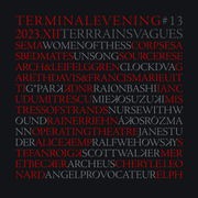 Terminal Evening #13 | Terrains vagues