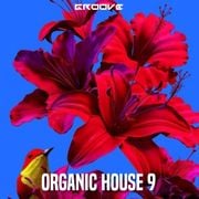 Groove Organic House 9