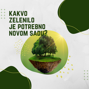 Koje drveće treba saditi u Novom Sadu?