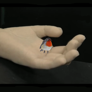 Cachichi - 28/10/2019