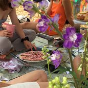 defrosting dynamics - a multisensorial picnic