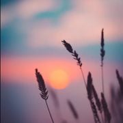 my first mix