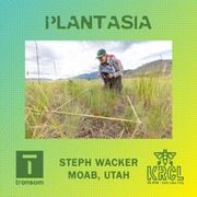Plantasia: An Interview with Steph Wacker