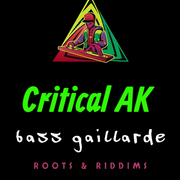 Critical AK (DJ/set: Jungle, Ragga Jungle)