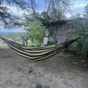 La Vida es un Mus - 19th February 2026