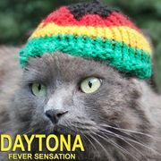 Daytona Fever Sensation 2025 #23 - Reggae Fever Sensation