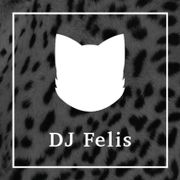 SWISS EVENT DJ Felis - Wedding Mix - 90s, 80s, EDM classics - A bit of everything