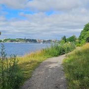 inte Trigger-Trigger 204