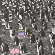 40