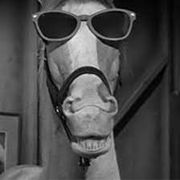 Country Feedbag - Halloween Special