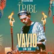 VAVIO 10 - [Electric Dodo - Tribe]