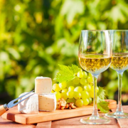 Chardonnay Vs Sauvignon Blanc: Discovering Their Differences - Audio Blog