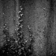 Núvol de fum 476 | nigul mixtape