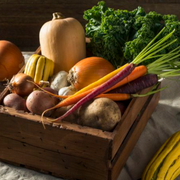 What Are Winter Vegetables? 5 Best Winter Season Veggie Produce to Grow - Audio Blog